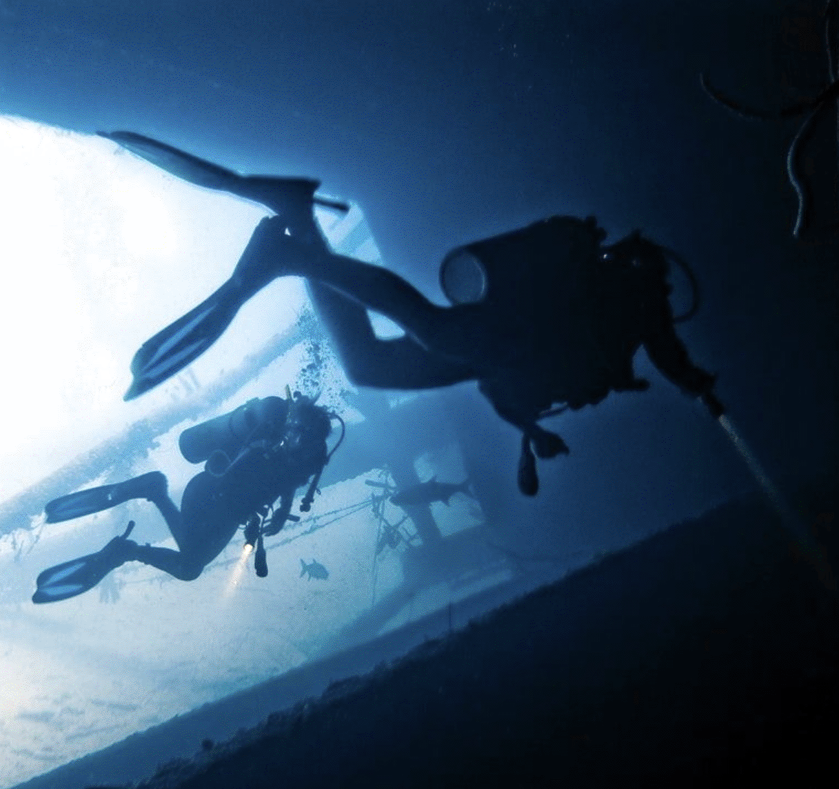 229d9a_95708c021a4a4d3c80cc6307e3eb2d36~mv2