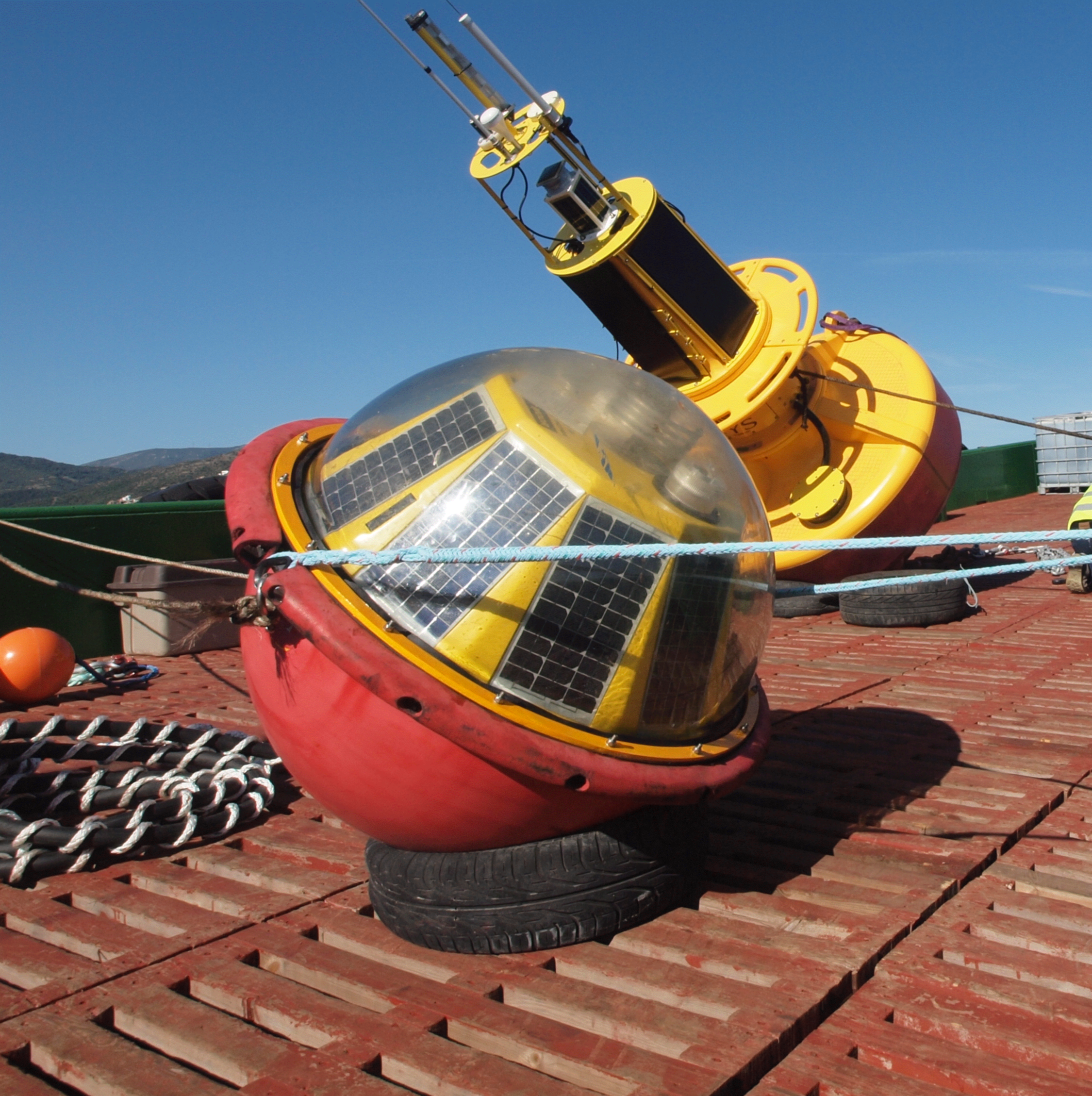 229d9a_d748086170a14d51a8d6920ec0335ca7~mv2